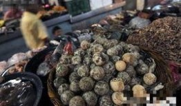 尼加拉瓜可以吃吗,哪些可以放心品尝