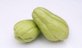 产后吃佛手瓜,佛手瓜助力妈妈健康恢复