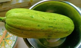 吃馅用的瓜,探寻传统吃馅瓜的美食奥秘