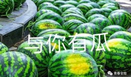 吃瓜上海学校,吃瓜上海学校，校园生活趣味横生