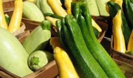 带你吃瓜土豆,带你领略“吃瓜土豆”的独特魅力