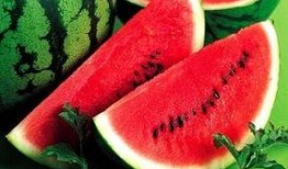 吃熙瓜,一场味蕾的盛宴之旅