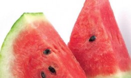 妙蛙花吃瓜,瓜果飘香乐无边