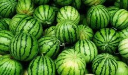 外境吃瓜群,揭秘网络社交圈的趣味与争议