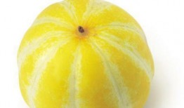 吃瓜吃瓜永远吃瓜,永远沉浸于瓜田的欢乐与思考