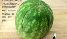 吃瓜挑瓜的正确方法,吃瓜达人必备的挑瓜技巧揭秘