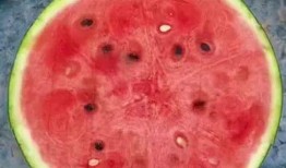 神时衍吃瓜,揭秘娱乐圈背后的那些事儿