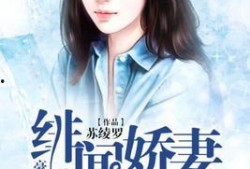 豪门吃瓜看戏小说,幕后看客的权谋风云