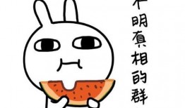 别人修仙我吃瓜,旁观者视角下的吃瓜日常