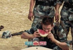 佛山击毙吃瓜男子,真相与争议并存