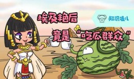 吃瓜小常识