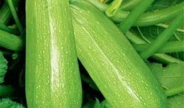 蓝宝吃瓜,揭秘娱乐圈幕后故事