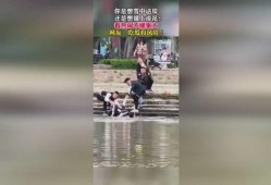 吃瓜视频的起源,从吃瓜视频起源看网络文化的崛起与演变