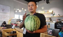 吃瓜爆瓜直播,吃瓜爆瓜，揭秘娱乐圈幕后真相