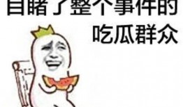 怎么合格吃瓜群众,揭秘网络围观的艺术