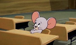 自由吃瓜基地真瓜,真瓜背后的故事与真相