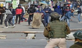 佛山击毙吃瓜男子,真相与争议并存