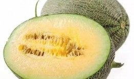 瓜怎样吃更甜,瓜类美食的完美食用之道