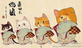 瓜几拉《吃货》,一场味蕾与文化的盛宴之旅