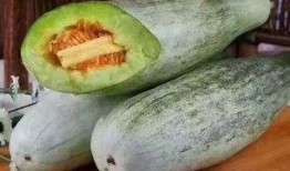 羊可以吃洋瓜吗