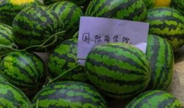 带你吃瓜之宿舍