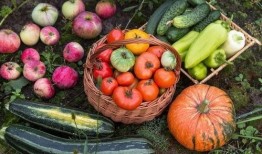 5打2吃瓜,揭秘娱乐圈幕后风云