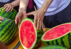 吃瓜上海学校,吃瓜上海学校，校园生活趣味横生