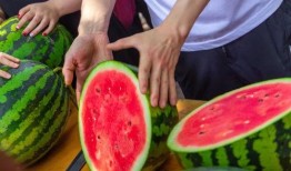 吃瓜上海学校,吃瓜上海学校，校园生活趣味横生