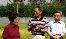 小芳同学吃瓜,揭秘娱乐圈那些事儿