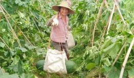 劲爆吃瓜无毒,揭秘娱乐圈幕后真相