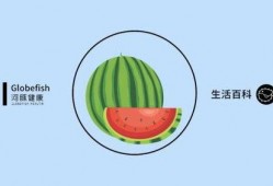 吃瓜比例多少合适,吃瓜界的黄金比例