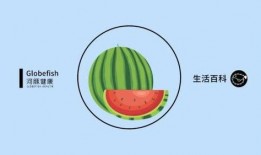 吃瓜比例多少合适,吃瓜界的黄金比例