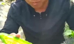 好友吃瓜,揭秘娱乐圈幕后真相