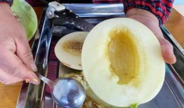 棱角瓜什么季节吃最好,秋季享用棱角瓜的最佳时节