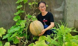 吃瓜小农,揭秘农村生活的酸甜苦辣