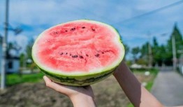 沈阳特色吃瓜视频,一网打尽地道美食瞬间