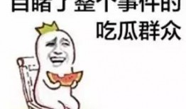 带你吃瓜语文翻译,带你领略“吃瓜群众”的趣味解读