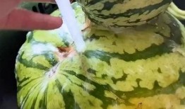 吃瓜专用配音,揭秘娱乐圈那些鲜为人知的幕后故事