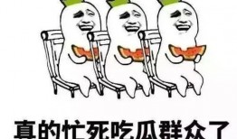 终极吃瓜群众,终极吃瓜群众带你领略幕后风云