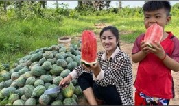 大步村吃瓜视频,揭秘乡村生活趣味瞬间