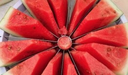 吃瓜比赛图文,吃瓜比赛精彩瞬间大盘点