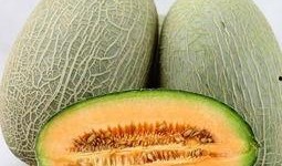 吃哈密瓜优点