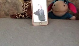 娱乐吃瓜Jerry,Jerry带你揭秘娱乐圈那些事儿