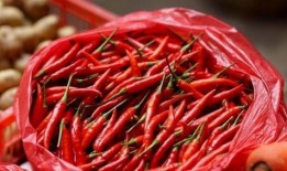 辣椒蘸水吃瓜视频,辣椒蘸水吃瓜新潮流