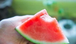 开心吃瓜的视频,揭秘热门视频背后的趣味故事