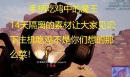 呆瓜吃鸡的视频,趣味横生的游戏体验分享