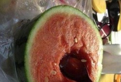 新桥医院吃瓜,揭秘背后的真相与反思