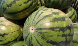 吃瓜放的歌,揭秘流行音乐背后的故事与情感