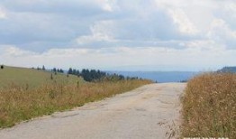 梦见在地里吃瓜,揭秘在地里吃瓜的神秘寓意