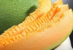 蜜瓜几月吃的,尽享清凉甜蜜时光